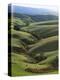 Neuseeland, Sv¼dinsel, Nahe Lawrence, Otago, Hv¼gellandschaft, Schafe, New Zealand-Thonig-Premier Image Canvas