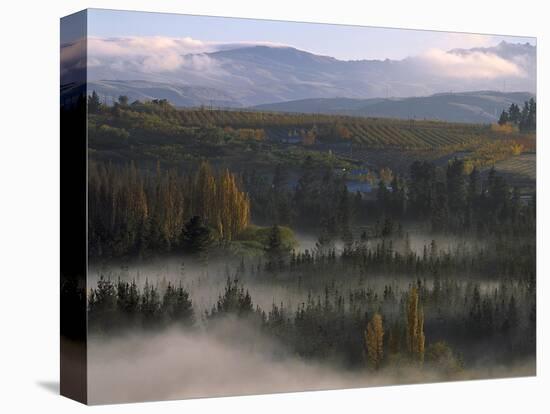 Neuseeland, Sv¼dinsel, Otago, Roxburgh, Tal Des Clutha Rivers, Morgenstimmung, New Zealand-Thonig-Premier Image Canvas