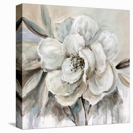 Neutral Bloom II-Carol Robinson-Stretched Canvas
