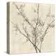 Neutral Blossoms on Cream I-Jennifer Goldberger-Stretched Canvas