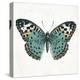 Neutral Butterfly 2-Jace Grey-Stretched Canvas