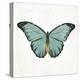 Neutral Butterfly 4-Jace Grey-Stretched Canvas