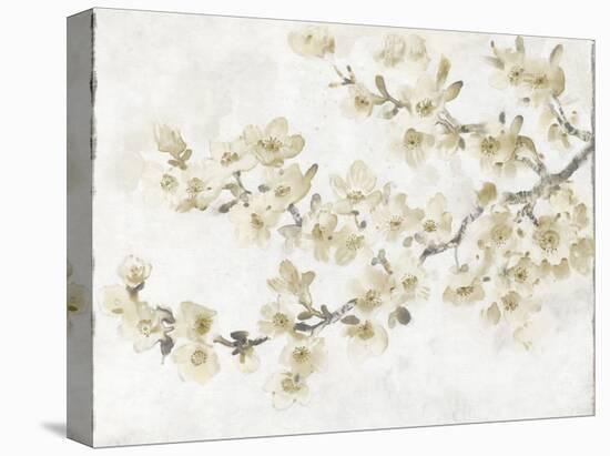 Neutral Cherry Blossom Composition I-Tim OToole-Stretched Canvas