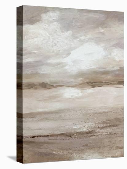 Neutral Dunes-Carol Robinson-Stretched Canvas