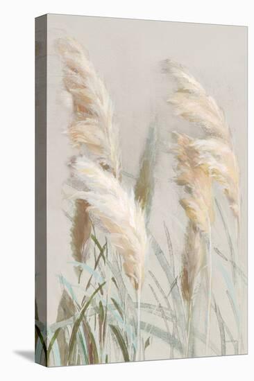 Neutral Pampas Grasses III-Danhui Nai-Stretched Canvas