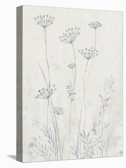 Neutral Queen Anne's Lace II-null-Stretched Canvas