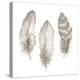Neutral Watercolor Feathers II-Patricia Pinto-Stretched Canvas