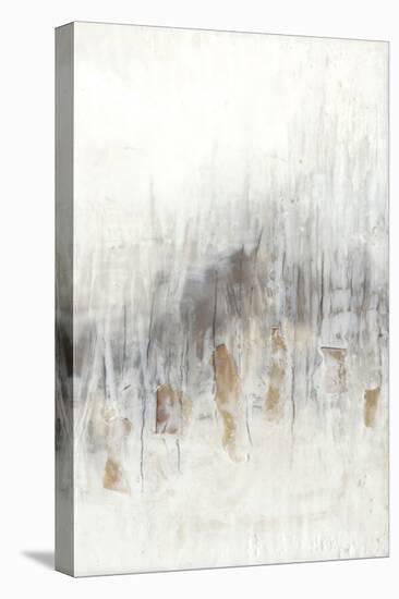 Neutral Wave II-Jennifer Goldberger-Stretched Canvas