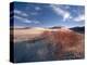 Nevada. Usa. Vegetation on Dunes Below Sand Mountain. Great Basin-Scott T. Smith-Premier Image Canvas