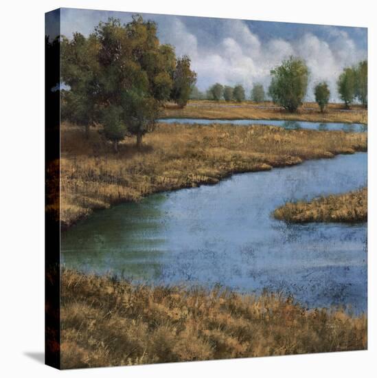 Never Ending River I-Jason Jarava-Premier Image Canvas