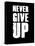 Never Give Up-null-Stretched Canvas