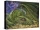 Never Tickle A Sleeping Dragon-Josephine Wall-Premier Image Canvas