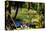 Nevis Botanical Garden, Nevis, St. Kitts and Nevis-Robert Harding-Premier Image Canvas