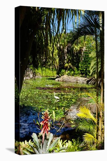 Nevis Botanical Garden, Nevis, St. Kitts and Nevis-Robert Harding-Premier Image Canvas