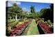 Nevis Botanical Garden, Nevis, St. Kitts and Nevis-Robert Harding-Premier Image Canvas