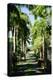 Nevis Botanical Garden, Nevis, St. Kitts and Nevis-Robert Harding-Premier Image Canvas