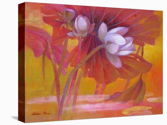 New Blooming-Ailian Price-Stretched Canvas