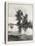 New Brunswick, on the Tobique, Canada, Nineteenth Century-null-Premier Image Canvas