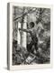 New Brunswick, Stripping or Barking a Tree for Torches, Canada, Nineteenth Century-null-Premier Image Canvas