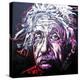 New Einstein 002-Rock Demarco-Premier Image Canvas