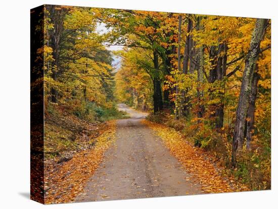 New England Road in Autumn-Darrell Gulin-Premier Image Canvas