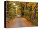 New England Road in Autumn-Darrell Gulin-Premier Image Canvas