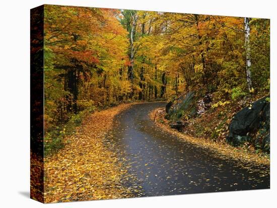 New England Road in Autumn-Darrell Gulin-Premier Image Canvas