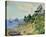 New England Shore-Fern Isabel Coppedge-Stretched Canvas