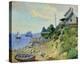 New England Shore-Fern Isabel Coppedge-Stretched Canvas