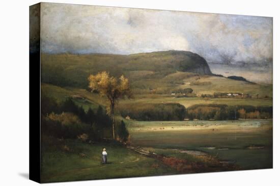 New England Valley, 1878-John James Audubon-Premier Image Canvas