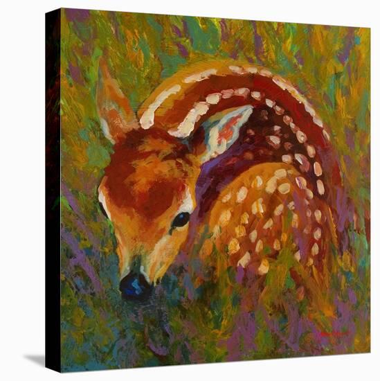 New Fawn-Marion Rose-Premier Image Canvas