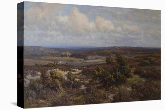 New Forest-Frederik Golden Short-Premier Image Canvas