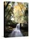 New Hampshire, a Waterfall in the White Mountains-Christopher Talbot Frank-Premier Image Canvas