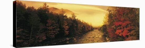 New Hampshire Stream-Peter Adams-Stretched Canvas