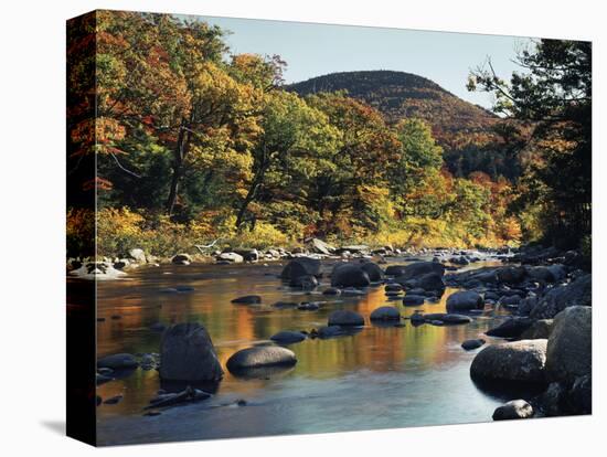 New Hampshire, White Mountains NF, Autumn Colors of Sugar Maple Trees-Christopher Talbot Frank-Premier Image Canvas