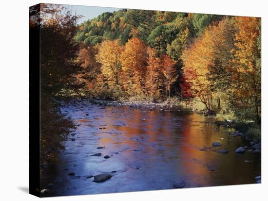 New Hampshire, White Mts Nf, Sugar Maples and Wild Ammonoosuc River-Christopher Talbot Frank-Premier Image Canvas