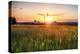 New Jersey Farm at Sunset-George Oze-Premier Image Canvas