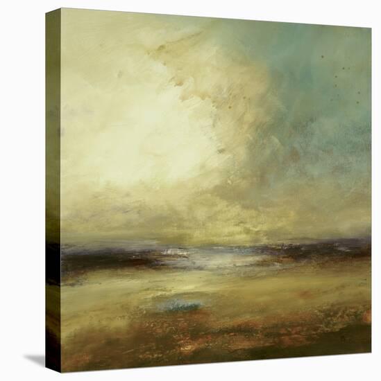 New Land-Lisa Ridgers-Stretched Canvas