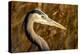 New Mexico, Bosque Del Apache Natural Wildlife Refuge. Great Blue Heron Profile-Jaynes Gallery-Premier Image Canvas