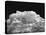 New Mexico Cloud Thunderhead Landscape Abstract in Black and White, New Mexico-Kevin Lange-Premier Image Canvas