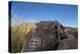 New Mexico, Three Rivers Petroglyph Site. Petroglyph on Rocks-Don Paulson-Premier Image Canvas