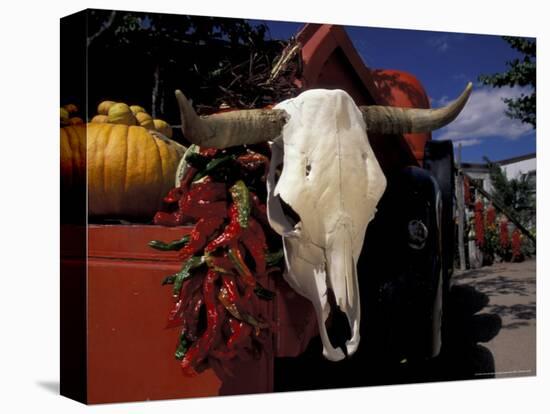 New Mexico, USA-Judith Haden-Premier Image Canvas