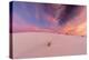 New Mexico, White Sands National Monument. Sunrise on Desert Sand-Jaynes Gallery-Premier Image Canvas