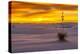 New Mexico, White Sands National Monument. Sunset on Desert and Yucca-Jaynes Gallery-Premier Image Canvas