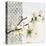 New Moroccan Flowering Branch-Walela R.-Stretched Canvas