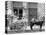 New Orleans, La., a Typical Milk Cart-null-Stretched Canvas