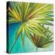 New Palmera II-Patricia Pinto-Stretched Canvas