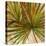 New Palmera Take Two I-Patricia Pinto-Stretched Canvas