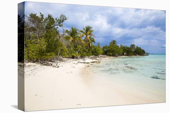 New Plymouth, beach, Green Turtle Cay, Abaco Islands, Bahamas, West Indies, Central America-Jane Sweeney-Premier Image Canvas