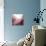 New Rose Quartz B-GI ArtLab-Premier Image Canvas displayed on a wall